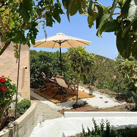 The Garden House, Sitia Daire Dış mekan fotoğraf