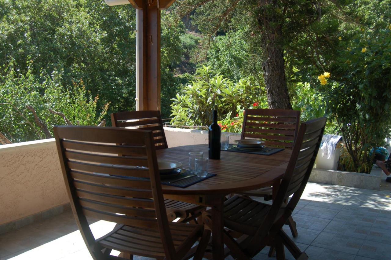 The Garden House, Sitia Daire Dış mekan fotoğraf