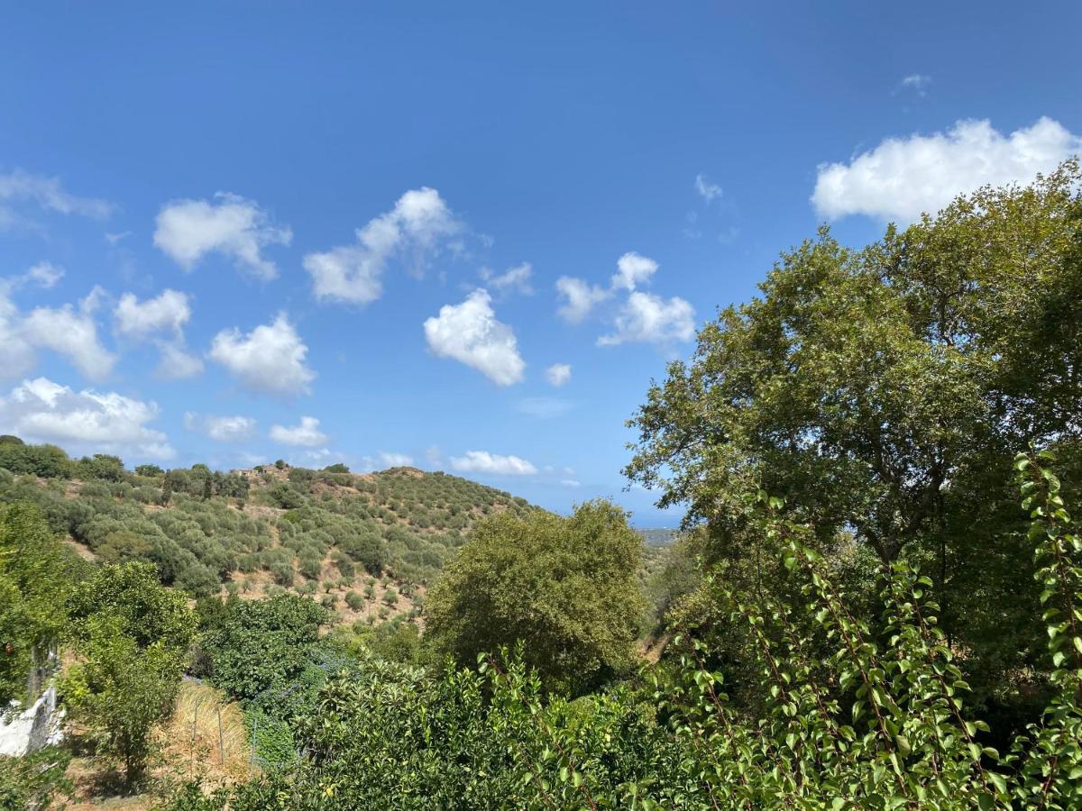 The Garden House, Sitia Daire Dış mekan fotoğraf