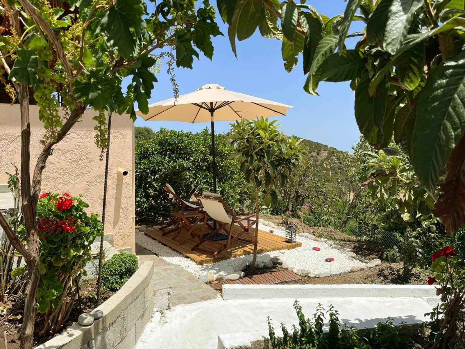 The Garden House, Sitia Daire Dış mekan fotoğraf