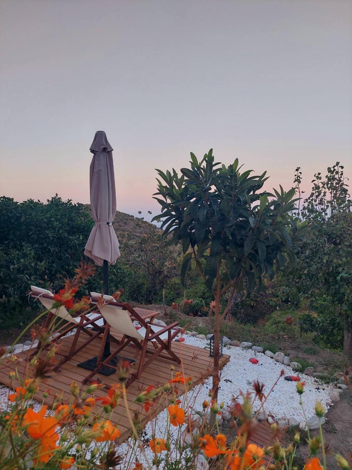 The Garden House, Sitia Daire Dış mekan fotoğraf